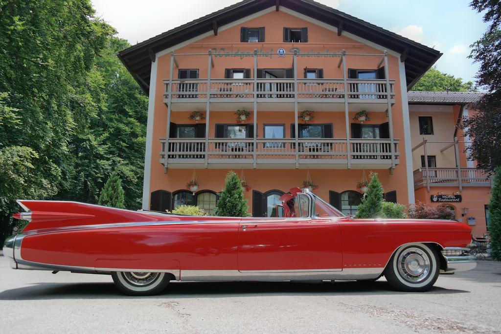 Hotel Waldgasthof Buchenhain Baierbrunn Buitenkant foto